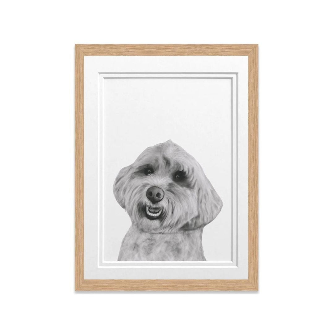 Cockerpoo Dog Fine Art Print