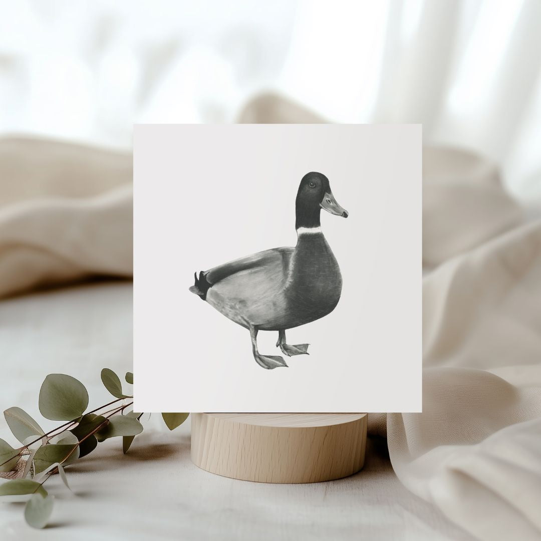 Rana the Duck Hand-Drawn Greeting Card – Countryside Wildlife Art