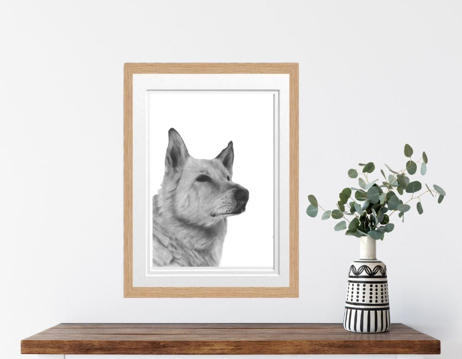 Alsatian Dog Fine Art Print