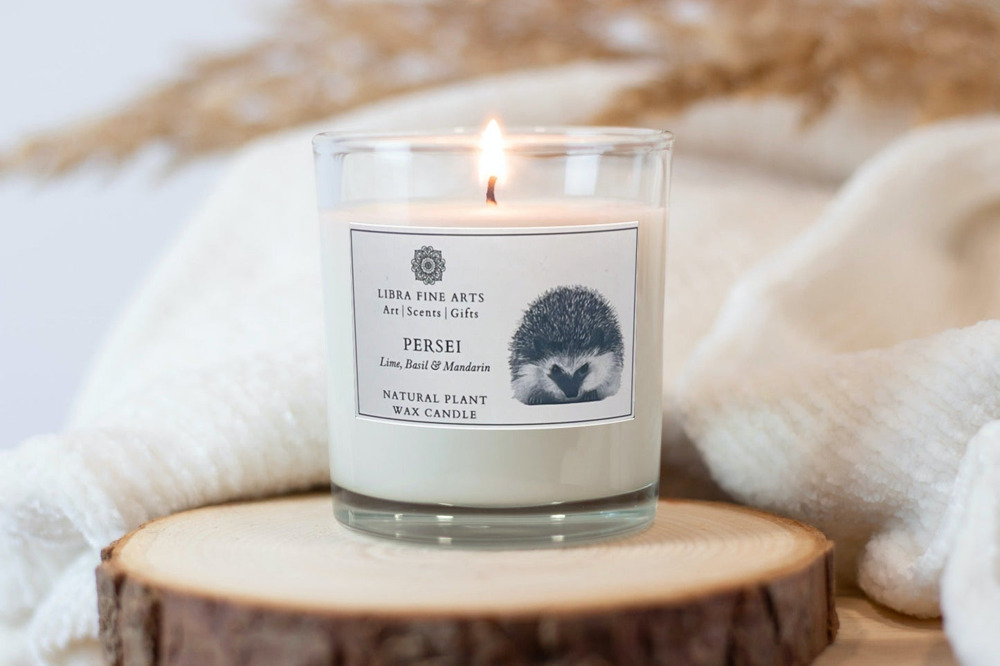 Hedgehog Candle Gift Box