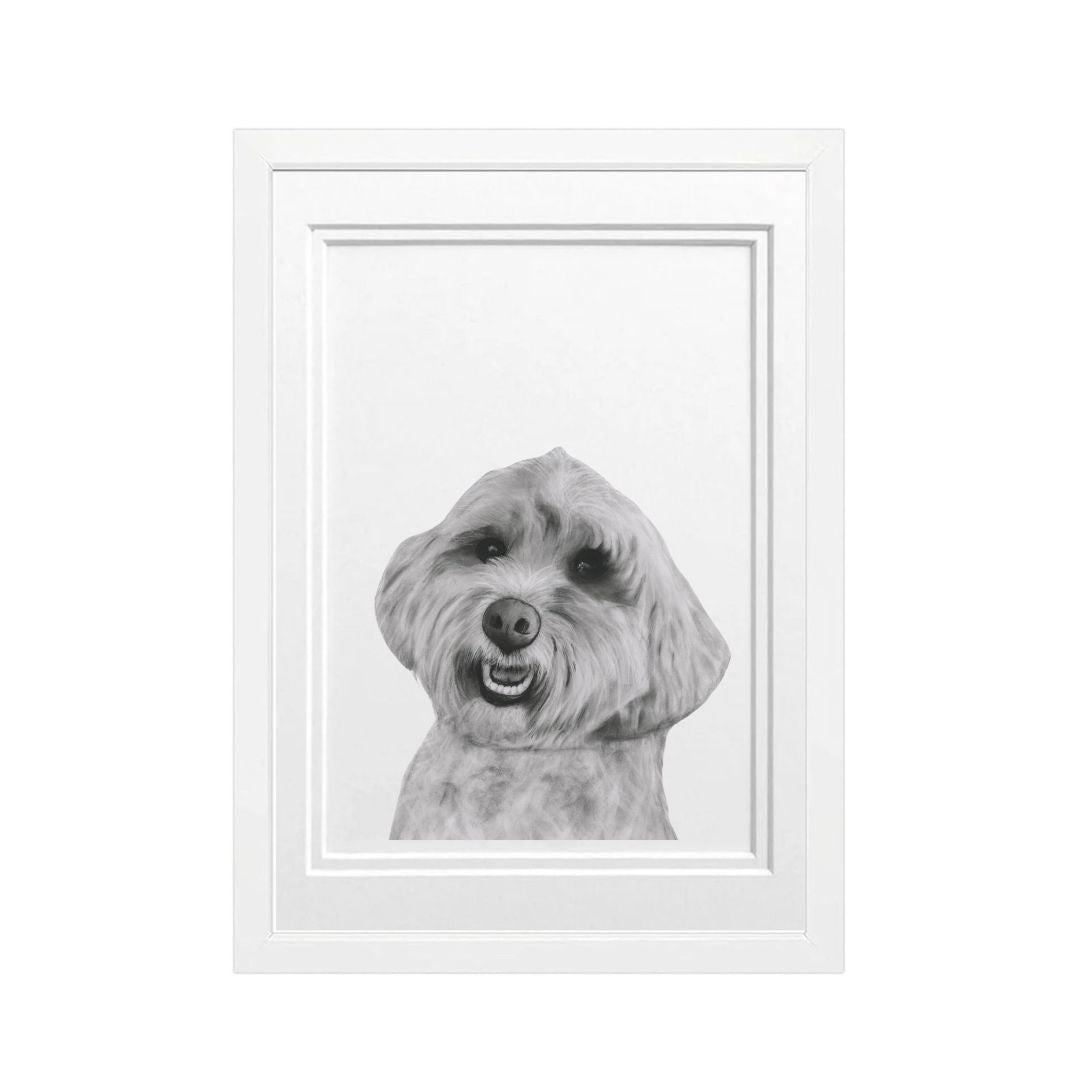 Cockerpoo Dog Fine Art Print