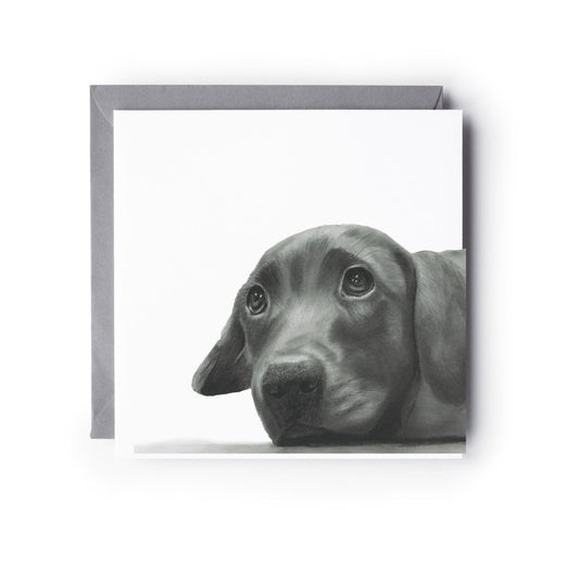 Labrador Puppy Greeting Card