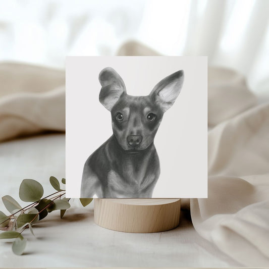 Tabit the Chiweenie (Dachshund/Chihuahua cross) Greeting Card