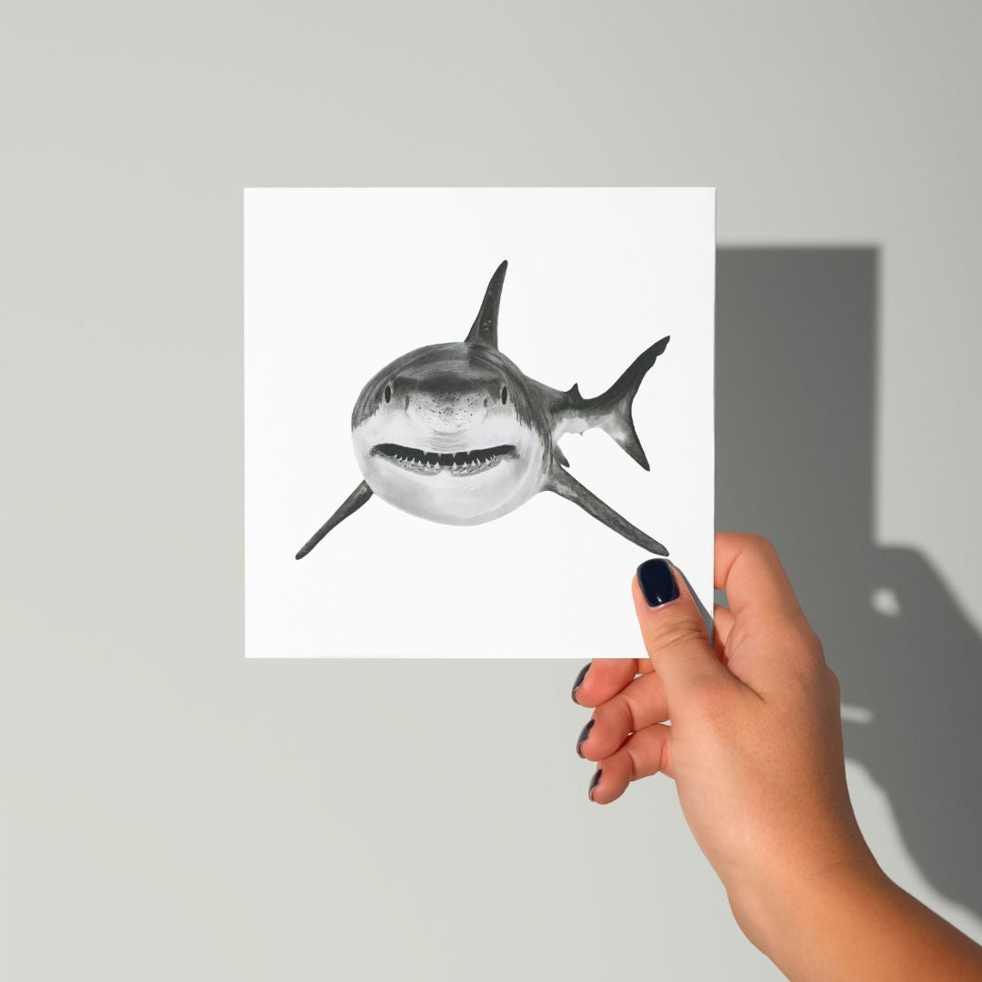 A Hand Drawn Shark Greeting Card From Libra Fine Arts