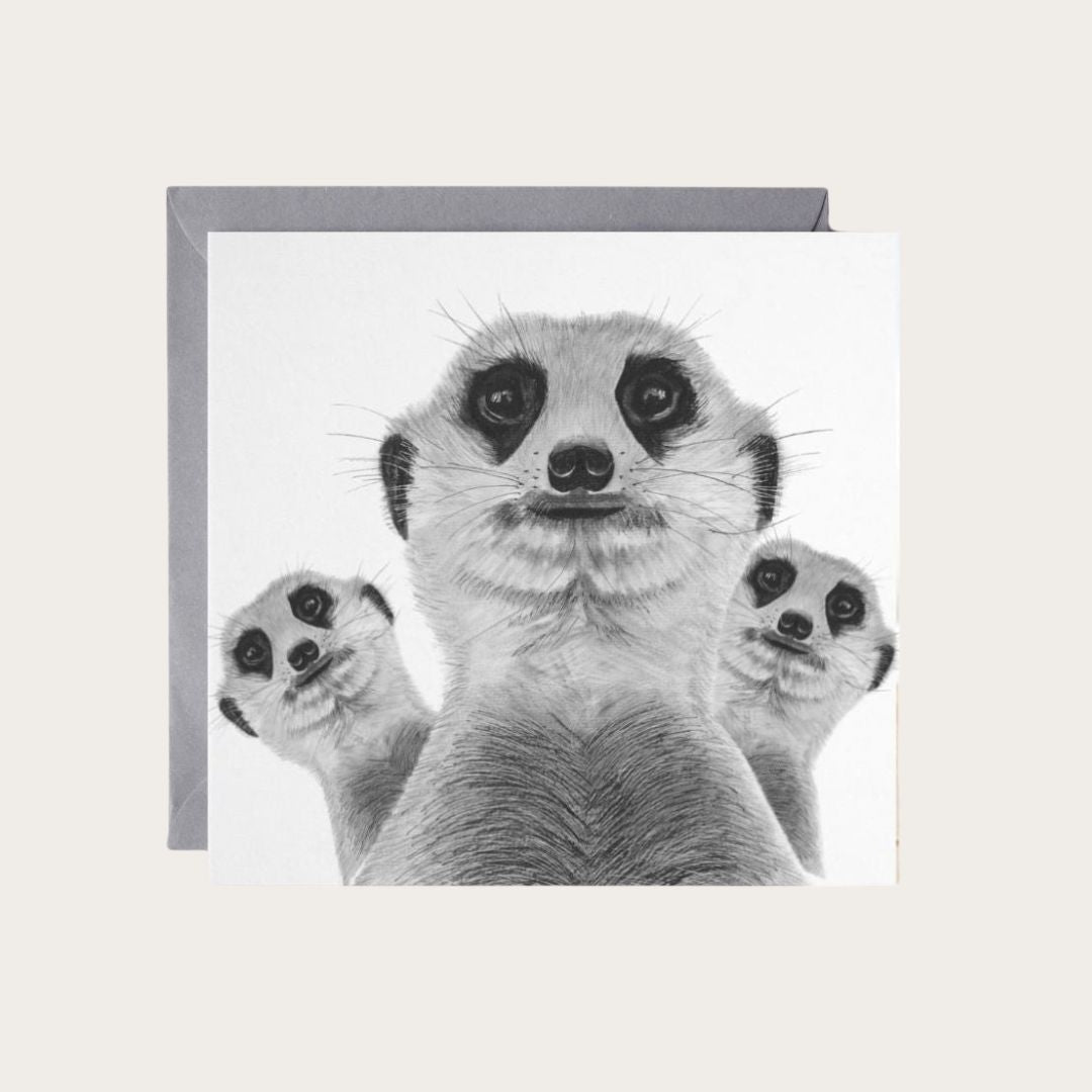 Meerkat Madness Greeting Card