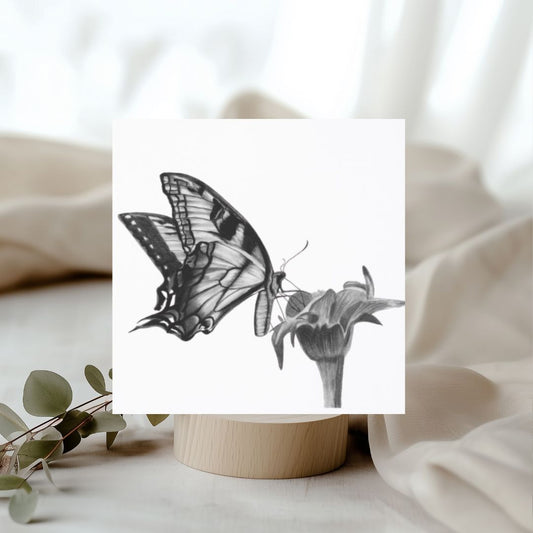 Antares the Butterfly Greeting Card – Hand Drawn Nature-Inspired Art for Butterfly Lovers