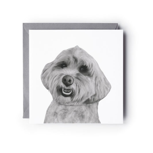 Nunki the Cockerpoo Dog Greeting Card