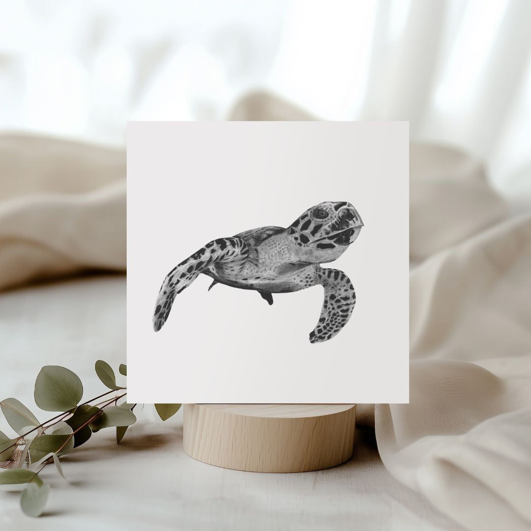 Heze The Turtle Hand Drawn Greeting Card