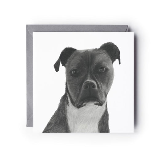 Jabbah the Staffy Cross Greeting Card