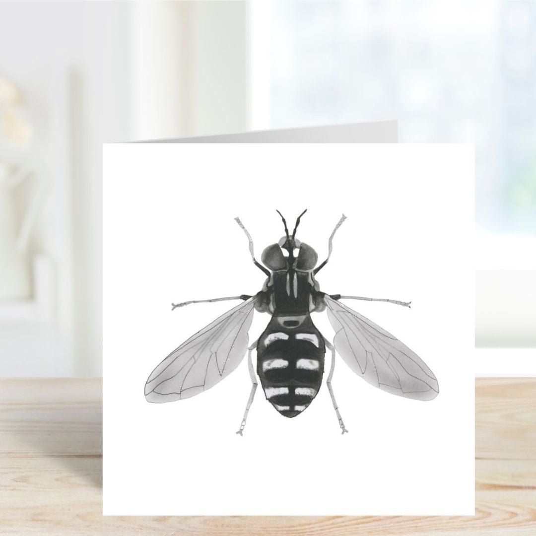 Hand-drawn hoverfly greeting card, featuring a detailed illustration. Perfect for birthdays or general messages, with a portion of proceeds donated to the Royal Entomological Society.