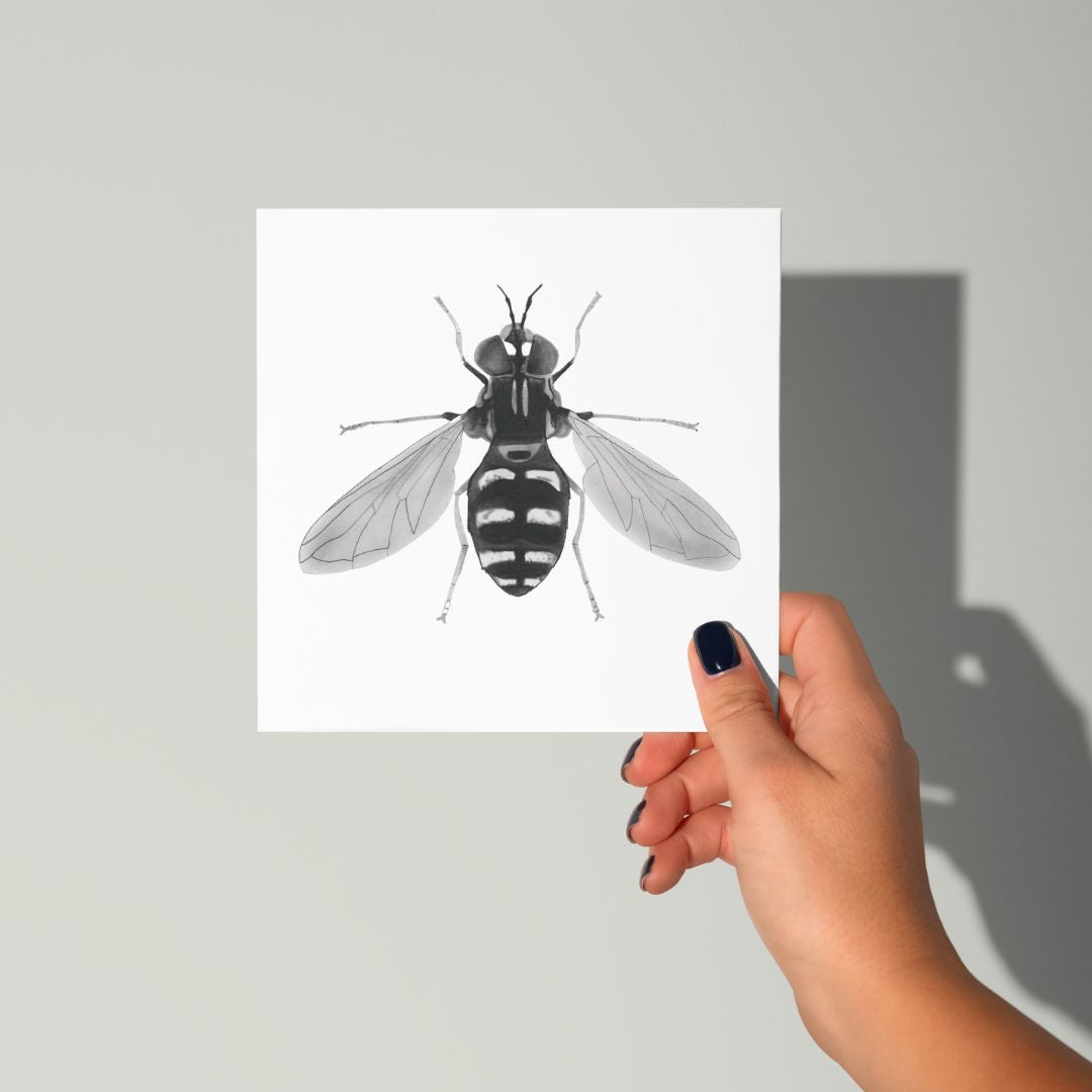 Hand-drawn hoverfly greeting card, featuring a detailed illustration. Perfect for birthdays or general messages, with a portion of proceeds donated to the Royal Entomological Society.