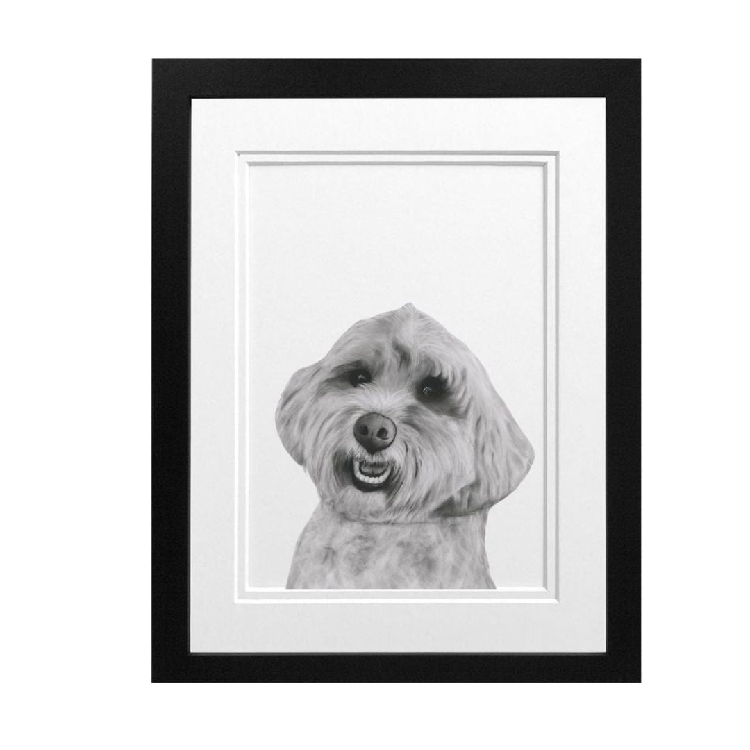 Cockerpoo Dog Fine Art Print