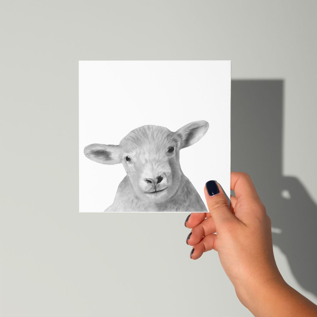 A Hand Drawn Lamb Greeting Card From Libra Fine Arts