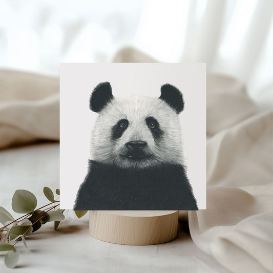 Cepheus the Panda Hand Drawn Greeting Card