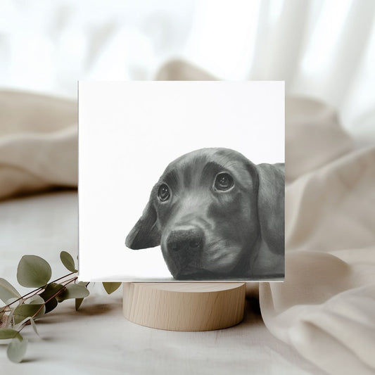 Maru the Labrador Puppy Greeting Card