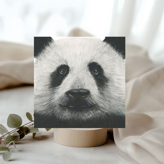 Cepheus the Panda II Hand Drawn Greeting Card