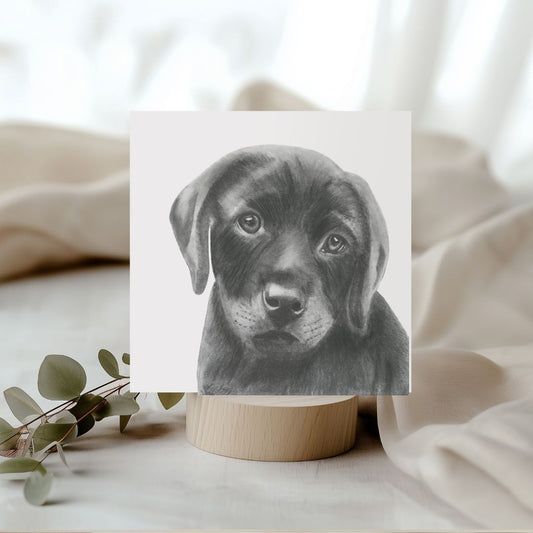 Mimosa the Labrador Hand Drawn Greeting Card