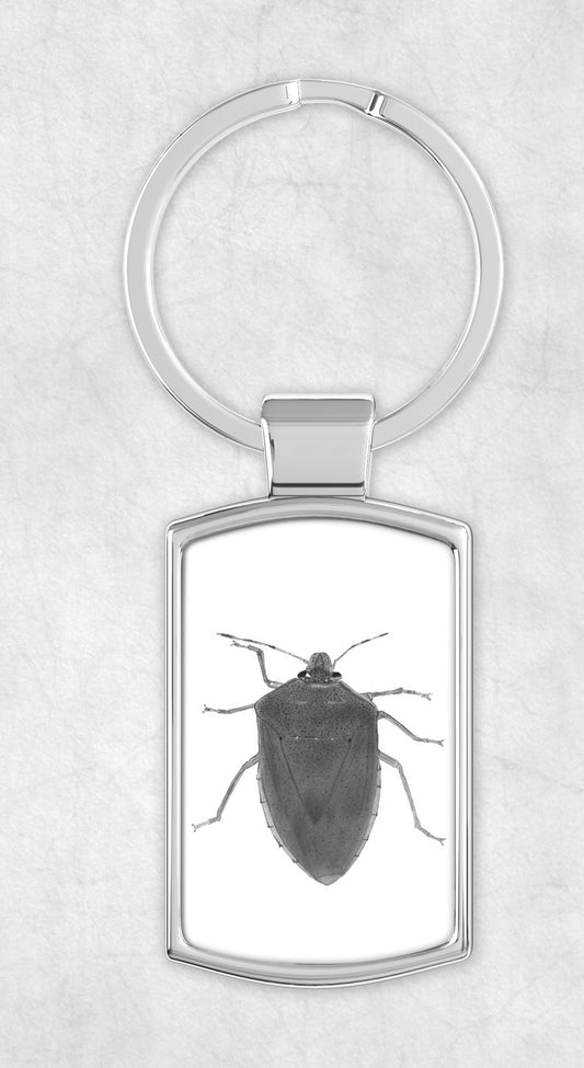 A Green Shield Bug Metal Rectangular Keyring featuring a beautifully hand-drawn illustration of this vibrant green insect on the front, with a smooth, polished metal back. A unique entomological gift for nature and wildlife enthusiasts