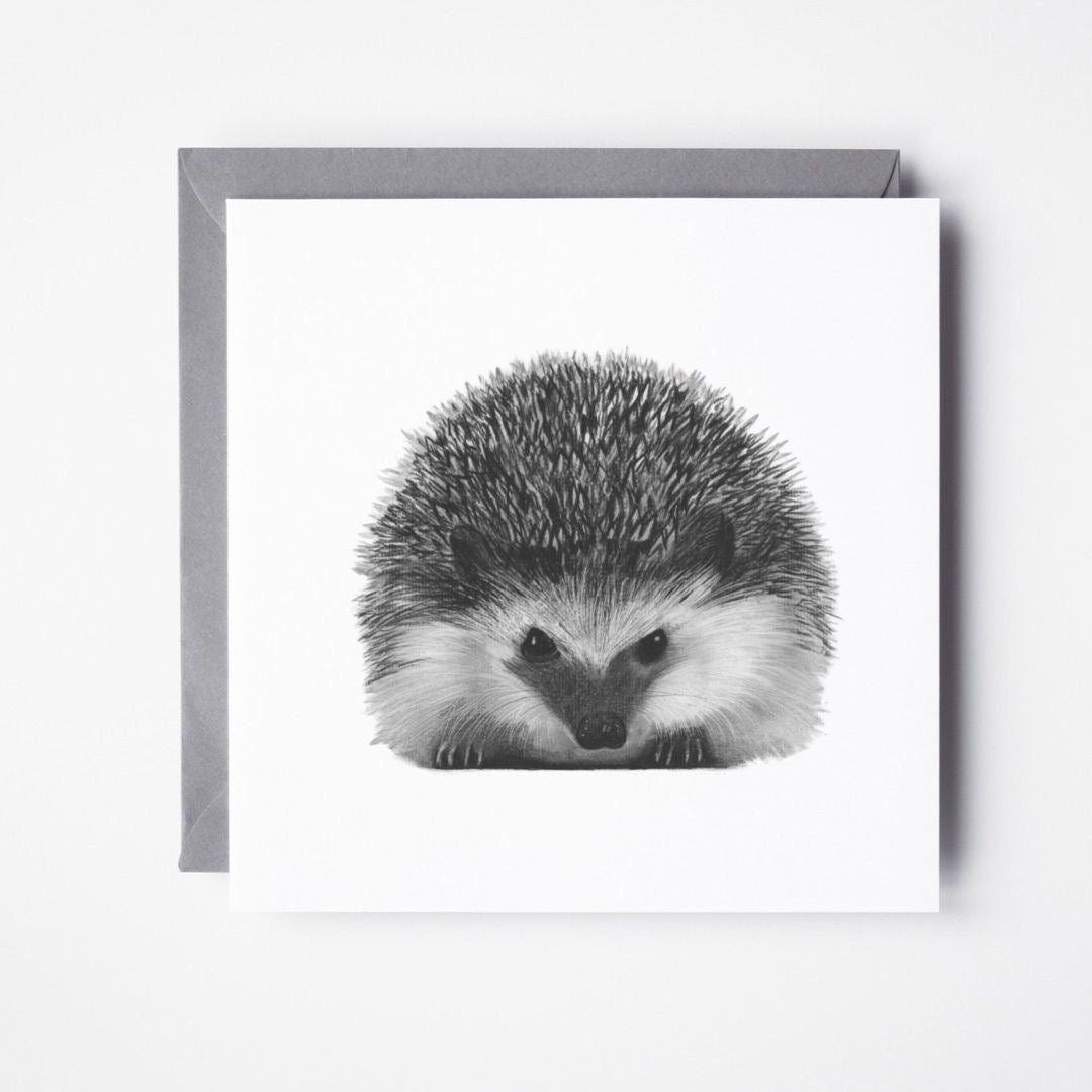 Hedgehog Diffuser Gift Box