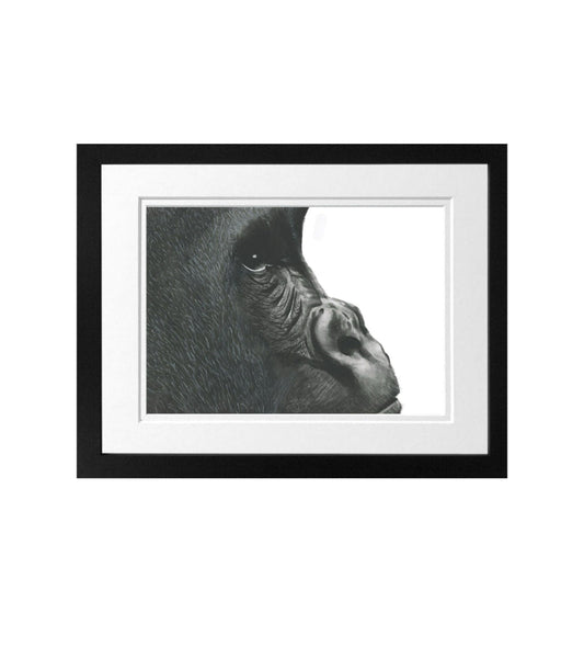 Libra_Fine_Arts_Gorilla_Fine_Art_Print_in_Black_Frame. The perfect birthday gift for wildlife and safari lovers