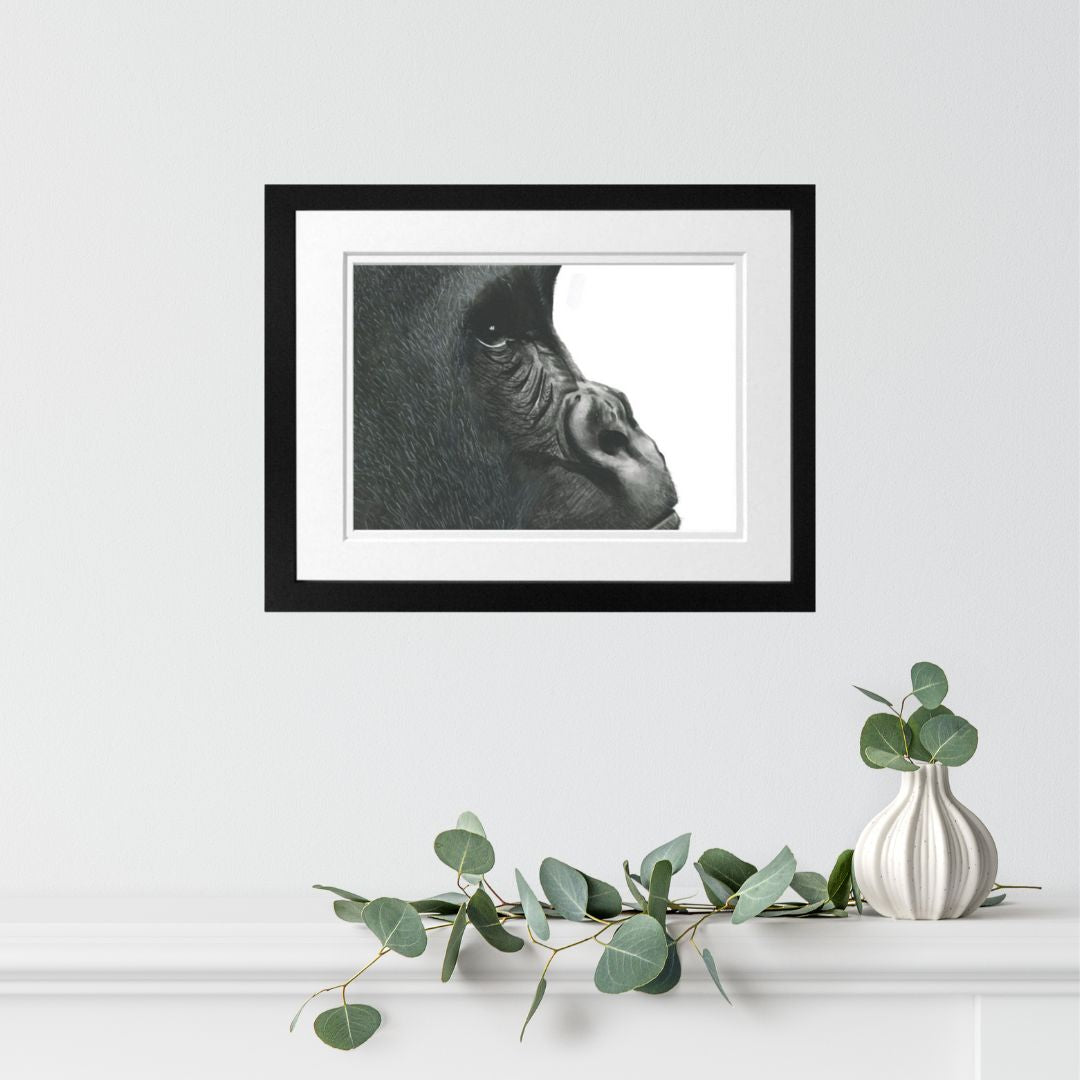 Libra_Fine_Arts_Gorilla_Fine_Art_Print_in_Black_Frame. The perfect birthday gift for wildlife and safari lovers