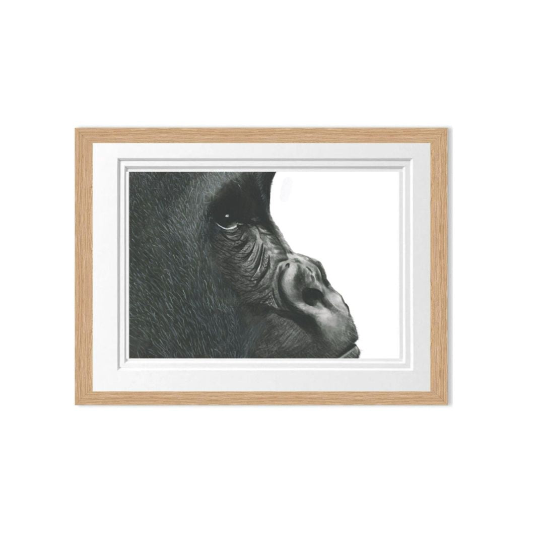 Libra_Fine_Arts_Gorilla_Fine_Art_Print_in_oak_Frame. The perfect birthday gift for wildlife and safari lovers