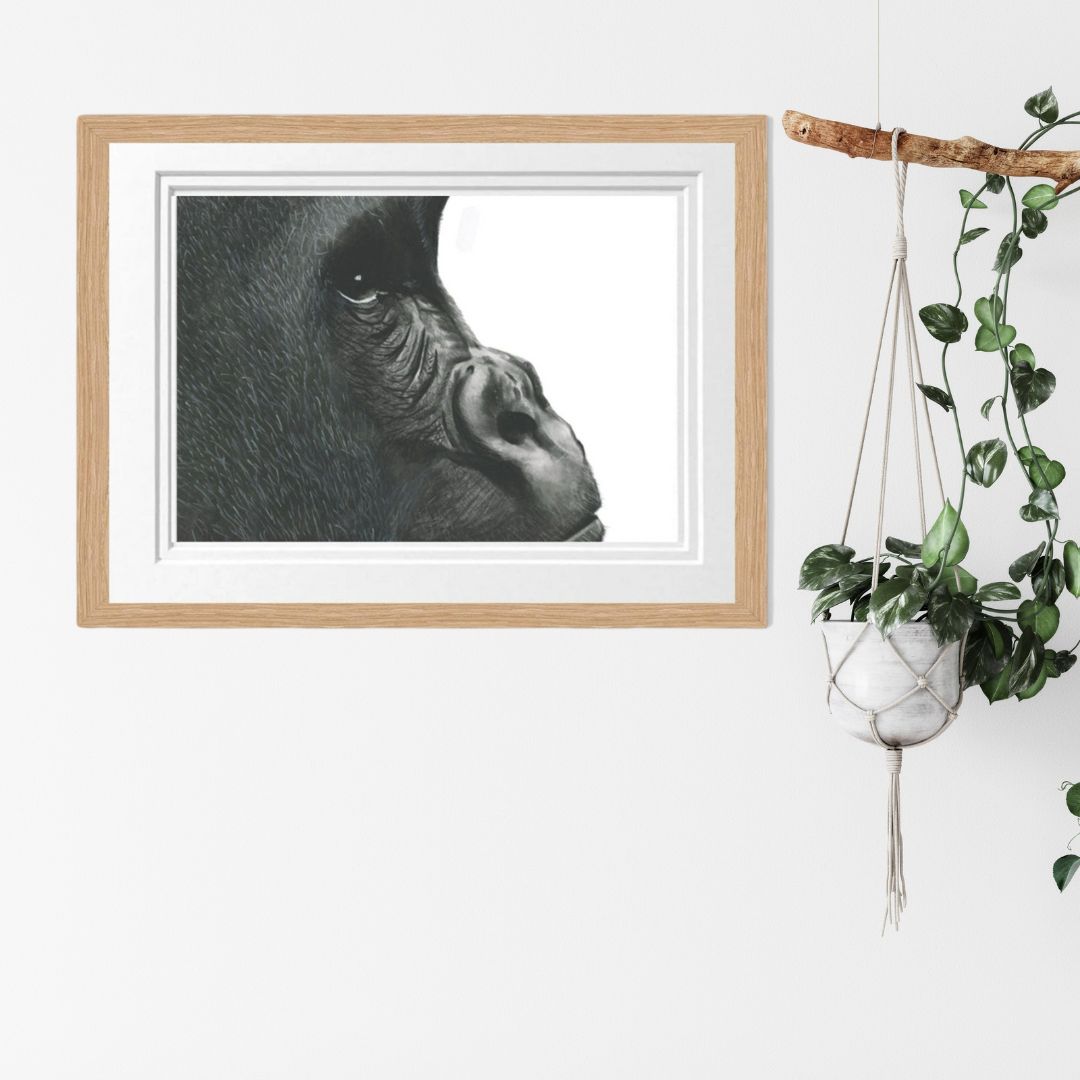 Libra_Fine_Arts_Gorilla_Fine_Art_Print_in_oak_Frame. The perfect birthday gift for wildlife and safari lovers