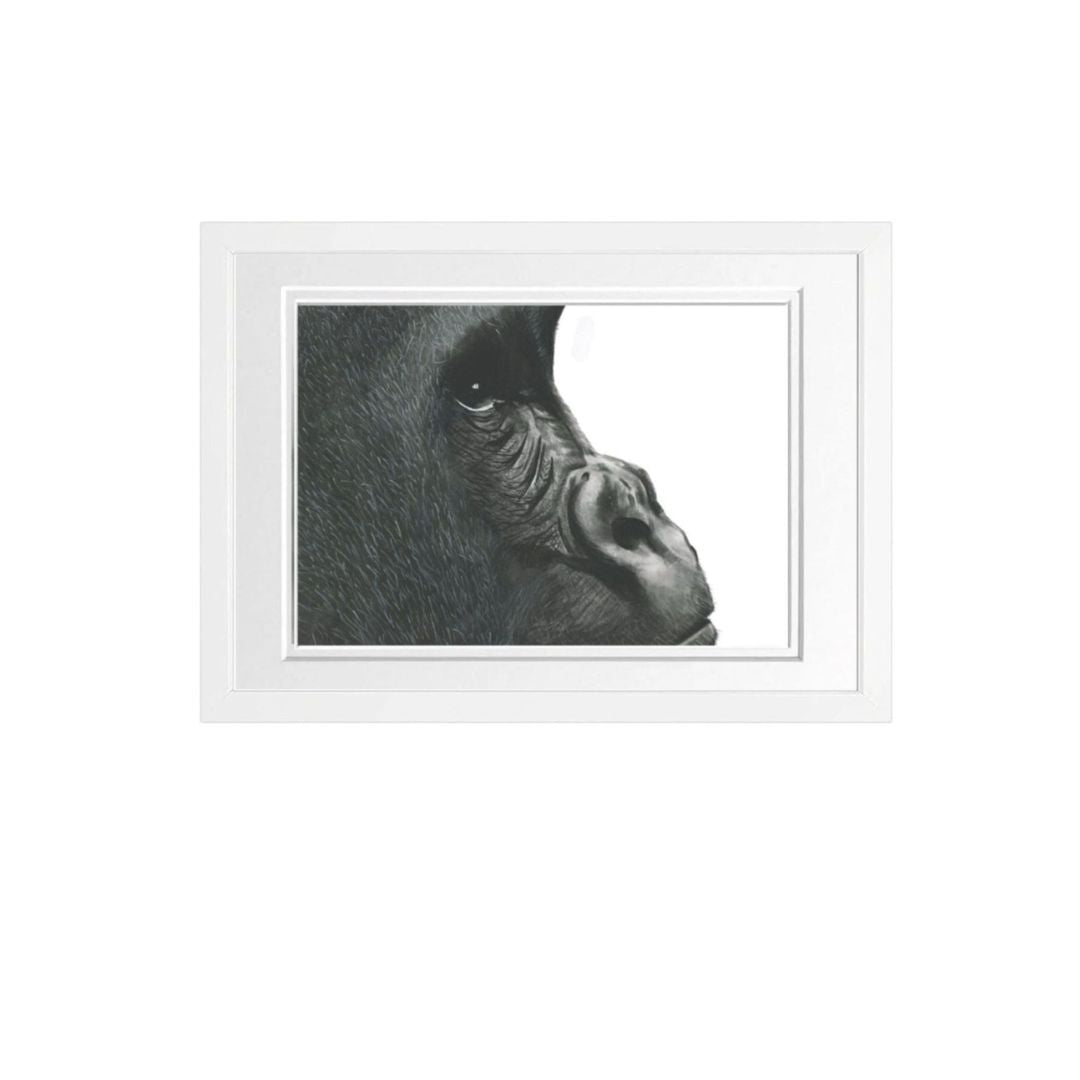 Libra_Fine_Arts_Gorilla_Fine_Art_Print_in white_Frame. The perfect birthday gift for wildlife and safari lovers