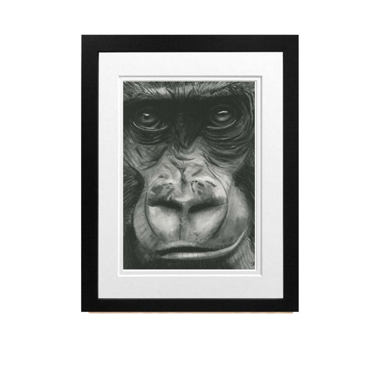 Libra_Fine_Arts_Hand_Drawn_Gorilla Drawing_in_black Frame. The perfect gift for christmas, birthday present or anniversary present for gorilla, wildlife and safari lovers