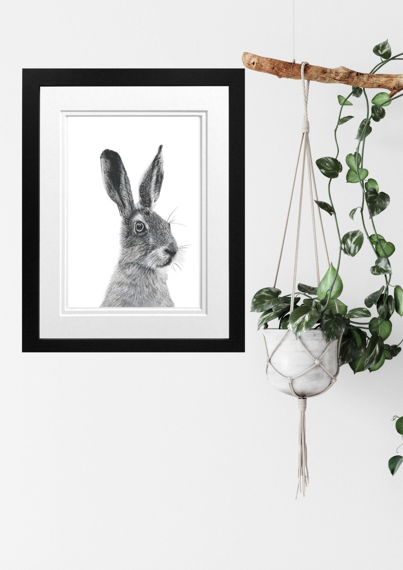 Libra_Fine_Arts_Hand_Drawn_Hare_Drawing_in_Black_Frame_hanging_on_the_wall_next_to_a_house_plant_.__._A_beautiful_gift_for_hare_lovers for birthday presents or christmas gifts.