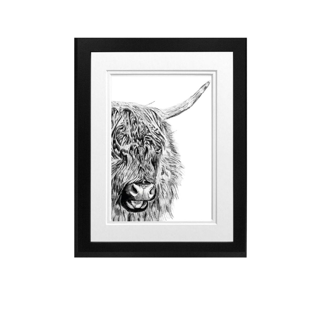 Baby Highland Cow Fine Art Print