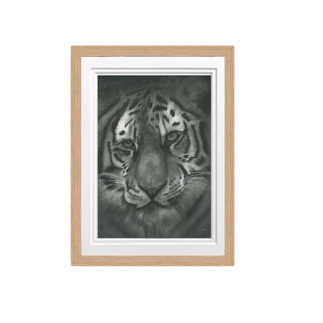 Libra_Fine_Arts_Hand_Drawn_Tiger_Drawing_in_Oak_Frame._The_perfect_gift_for_animal_and_safari_lovers