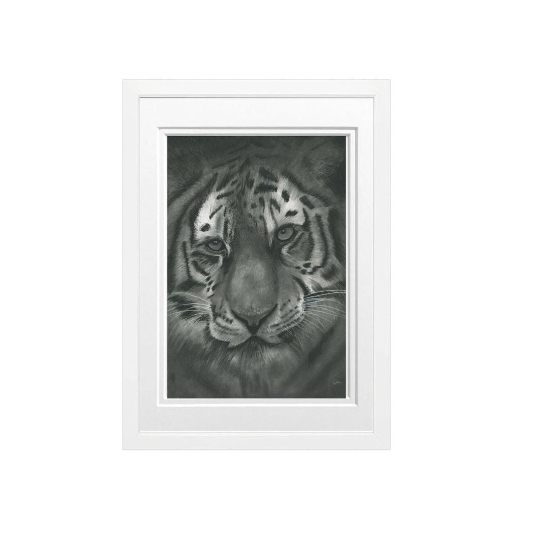 Libra_Fine_Arts_Hand_Drawn_Tiger_Drawing_in_White_Frame._The_perfect_gift_for_animal_and_safari_lovers