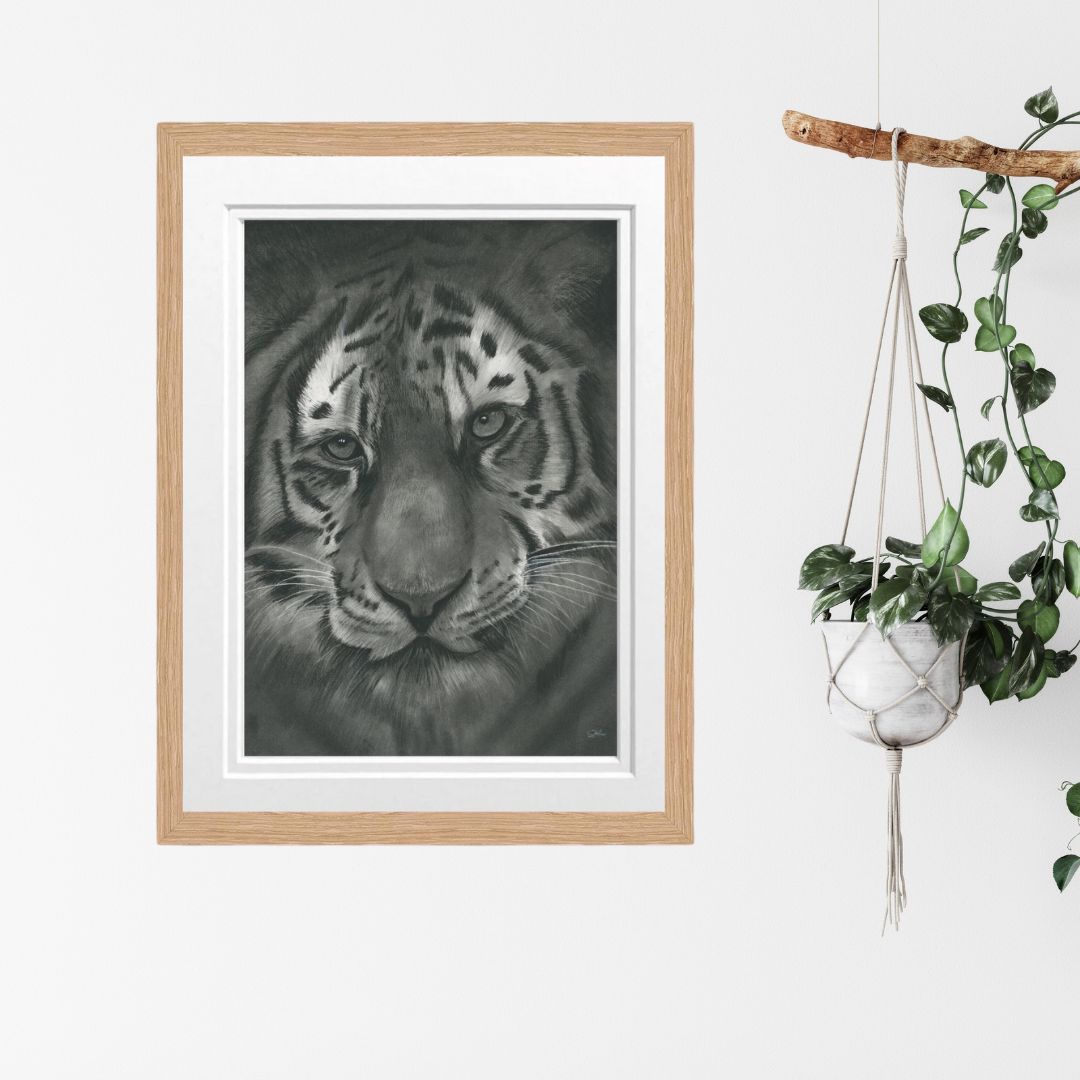 Libra_Fine_Arts_Hand_Drawn_Tiger_Drawing_in_oak_Frame_hangong_on_wall_next_to_hanging_house_plant.Perfect_for_animal_and_safari_lovers