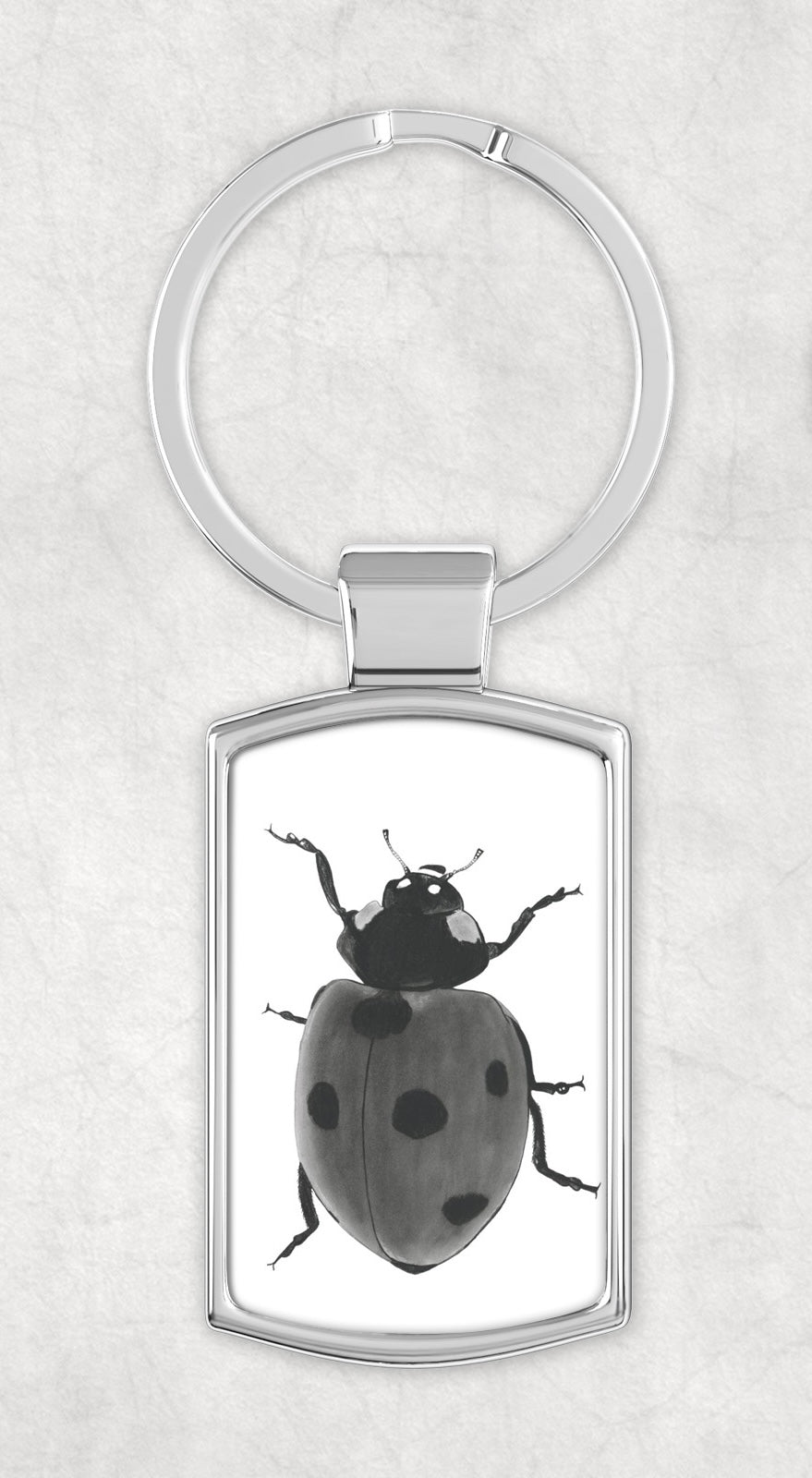 A Seven Spot Ladybird Metal Rectangular Keyring featuring a beautifully hand-drawn illustration of the iconic red and black spotted insect on the front, with a sleek metal back. A perfect gift for entomology and nature lovers