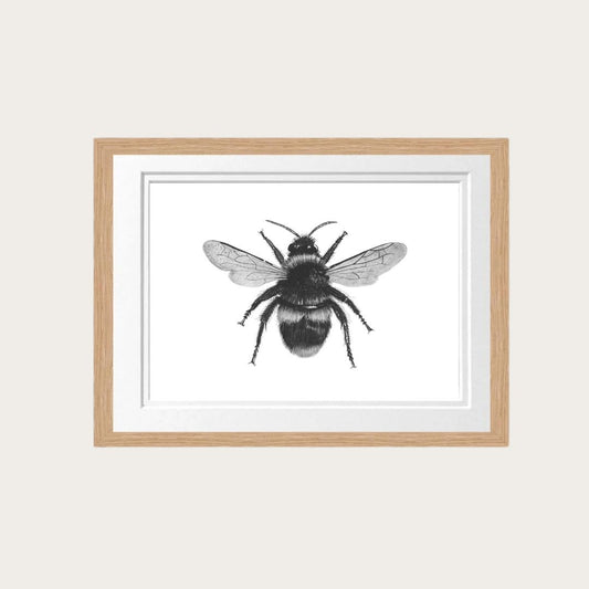 Bumblebee Fine Art Print – Hand-Drawn Nature Artwork for Bee Lovers & Home Décor