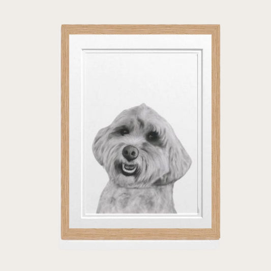 Cockerpoo Dog Fine Art Print