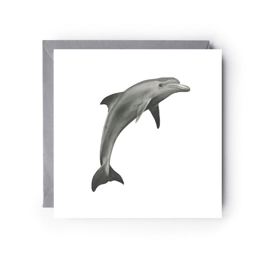 Aries the Dolphin Hand Drawn Greeting Card