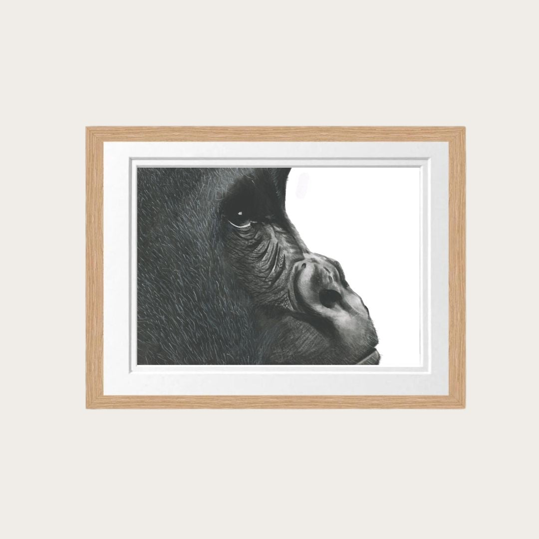 Gorilla Fine Art Print – Hand-Drawn Wildlife Drawing