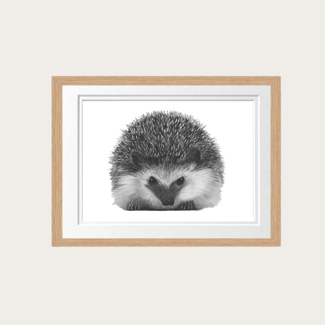 Hedgehog Fine Art Print – Hand-Drawn Wildlife Illustration