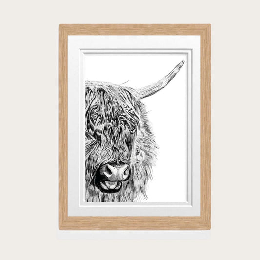 Baby Highland Cow Fine Art Print – Adorable Hand-Drawn Highland Calf Illustration