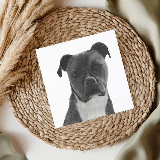 Staffy Cross Jabbah Greeting Card