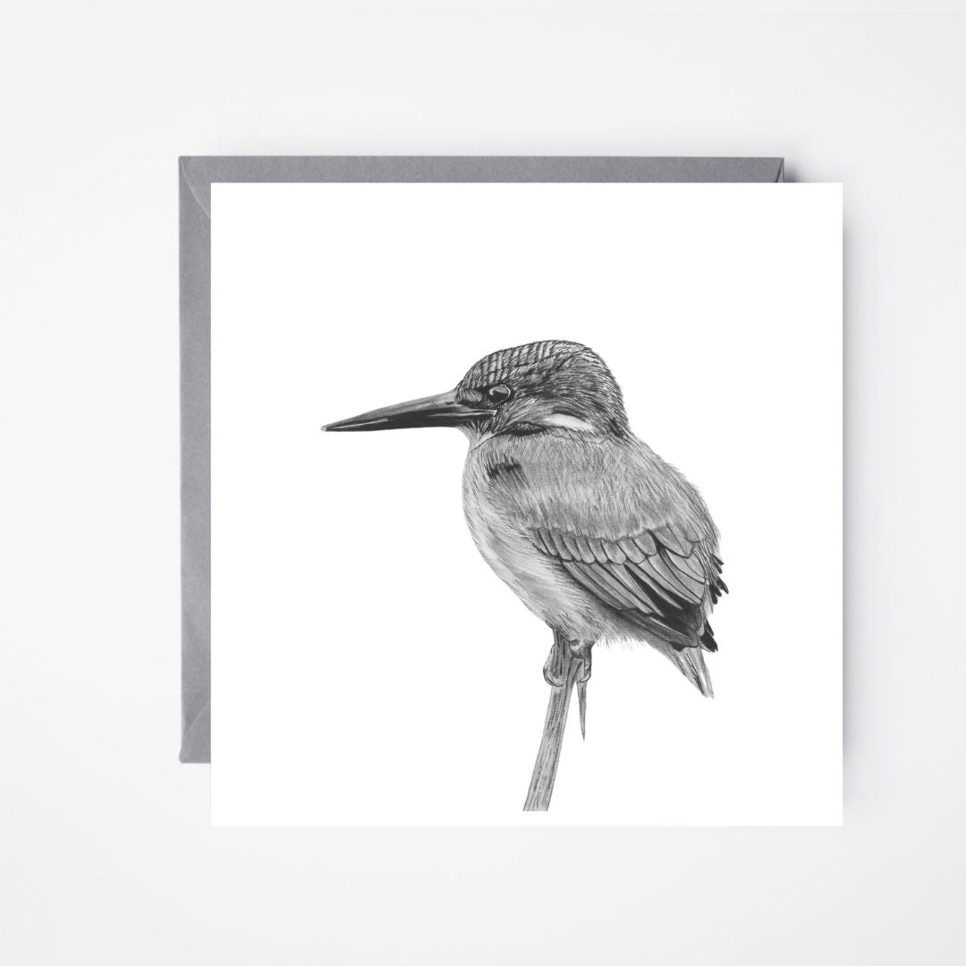 Delpheus the Kingfisher Hand Drawn Greeting Card