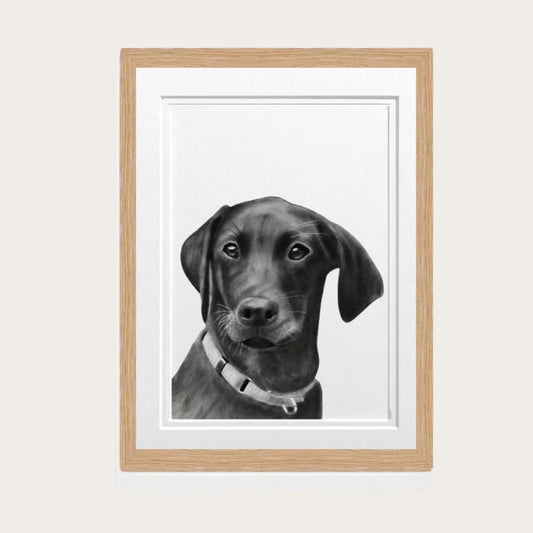 Labrador Fine Art Print