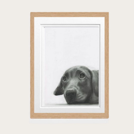 Labrador Puppy Fine Art Print