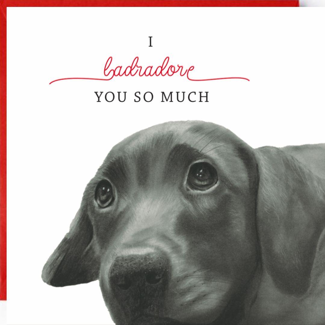 I Labradore You SO Much Greeting Card