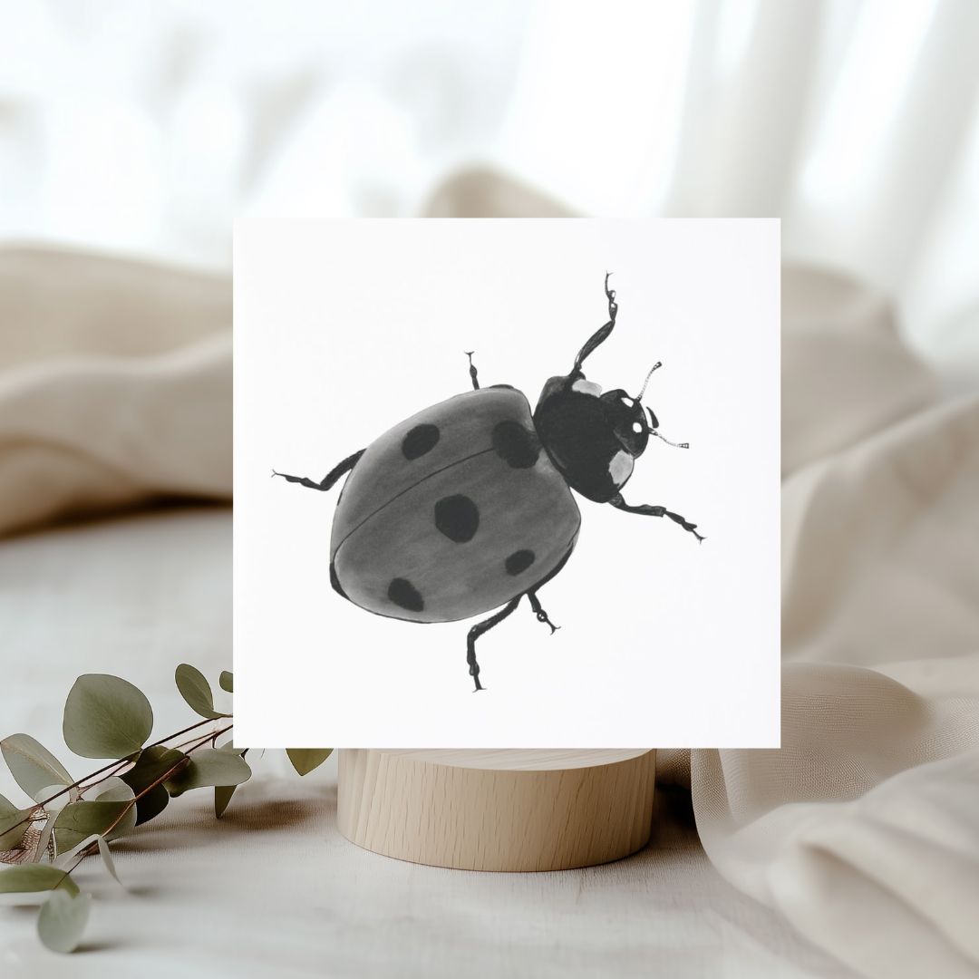 Seven Spot Ladybird Hand Drawn Greeting Card – Nature-Inspired Insect Art for Wildlife Lovers