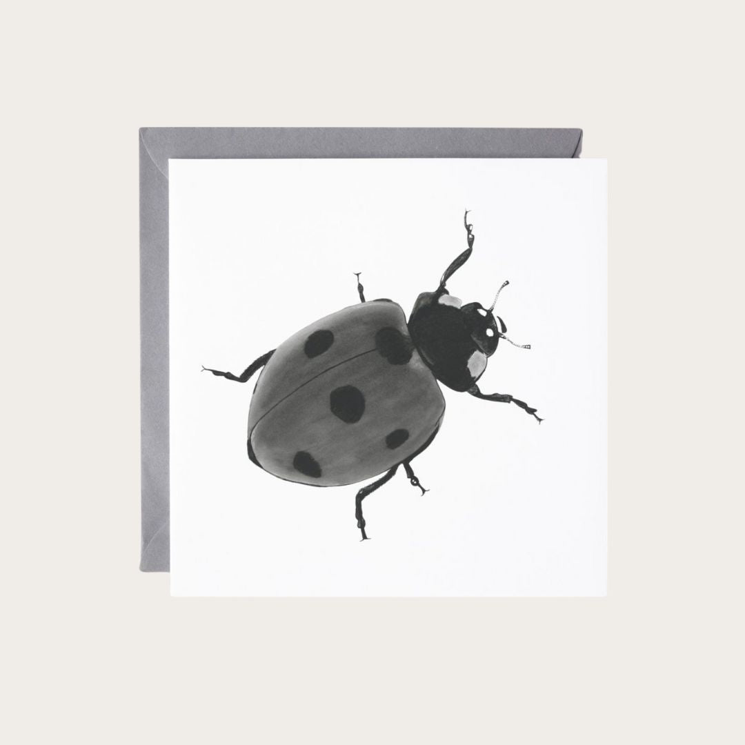 Seven Spot Ladybird Hand Drawn Greeting Card – Nature-Inspired Insect Art for Wildlife Lovers