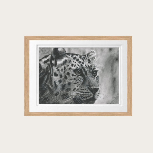 Leopard Fine Art Print – Hand-Drawn Wildlife Illustration