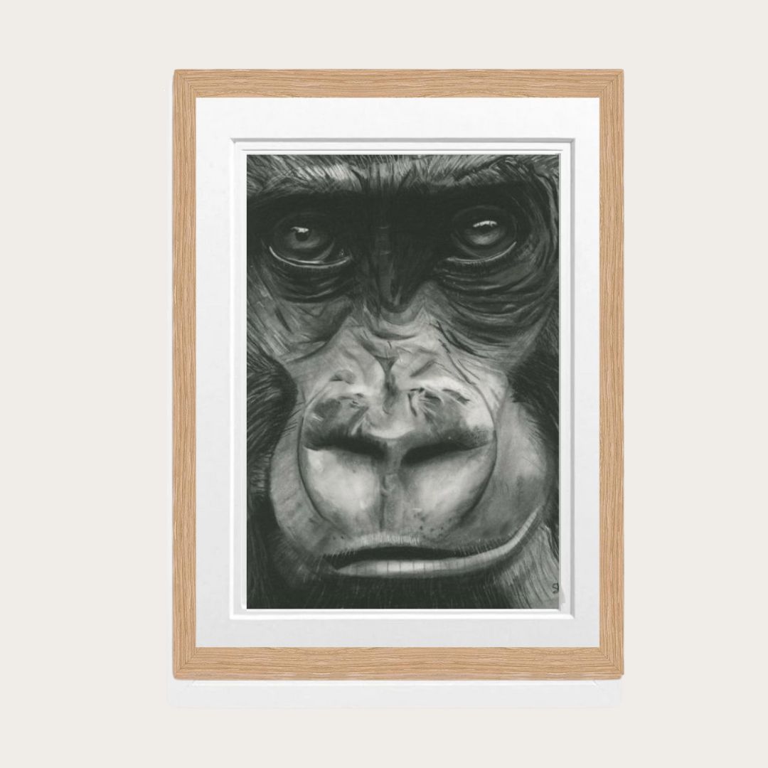 The Mountain Gorilla Fine Art Print – Exceptional Hand-Drawn Wildlife Art